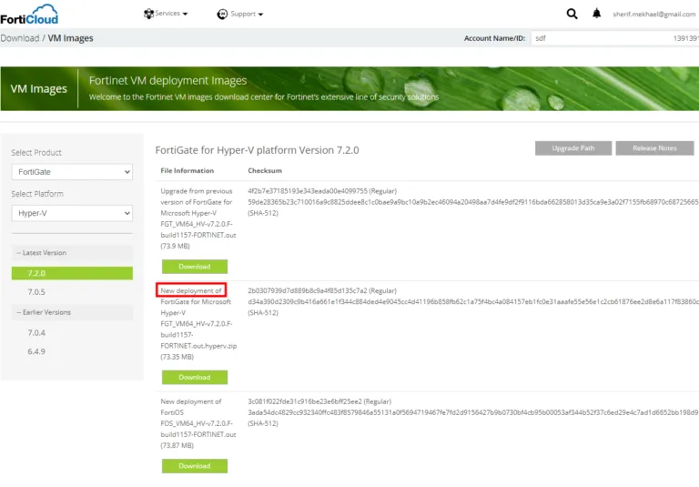 <strong>FortiGate VM Trial license not working</strong> 3 new-deployment